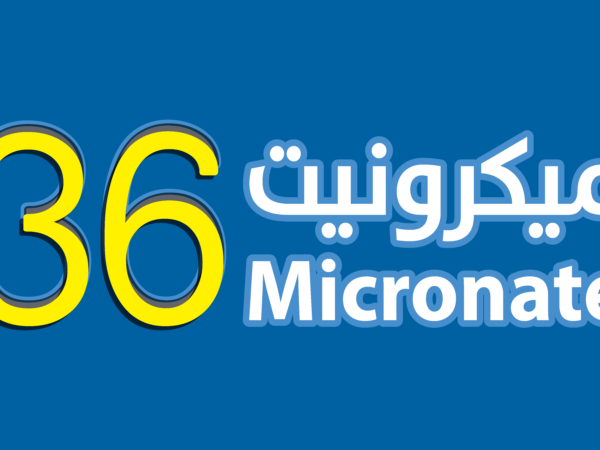 ميكرونيت 36