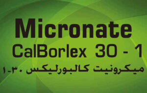 CalborLex 30-1 