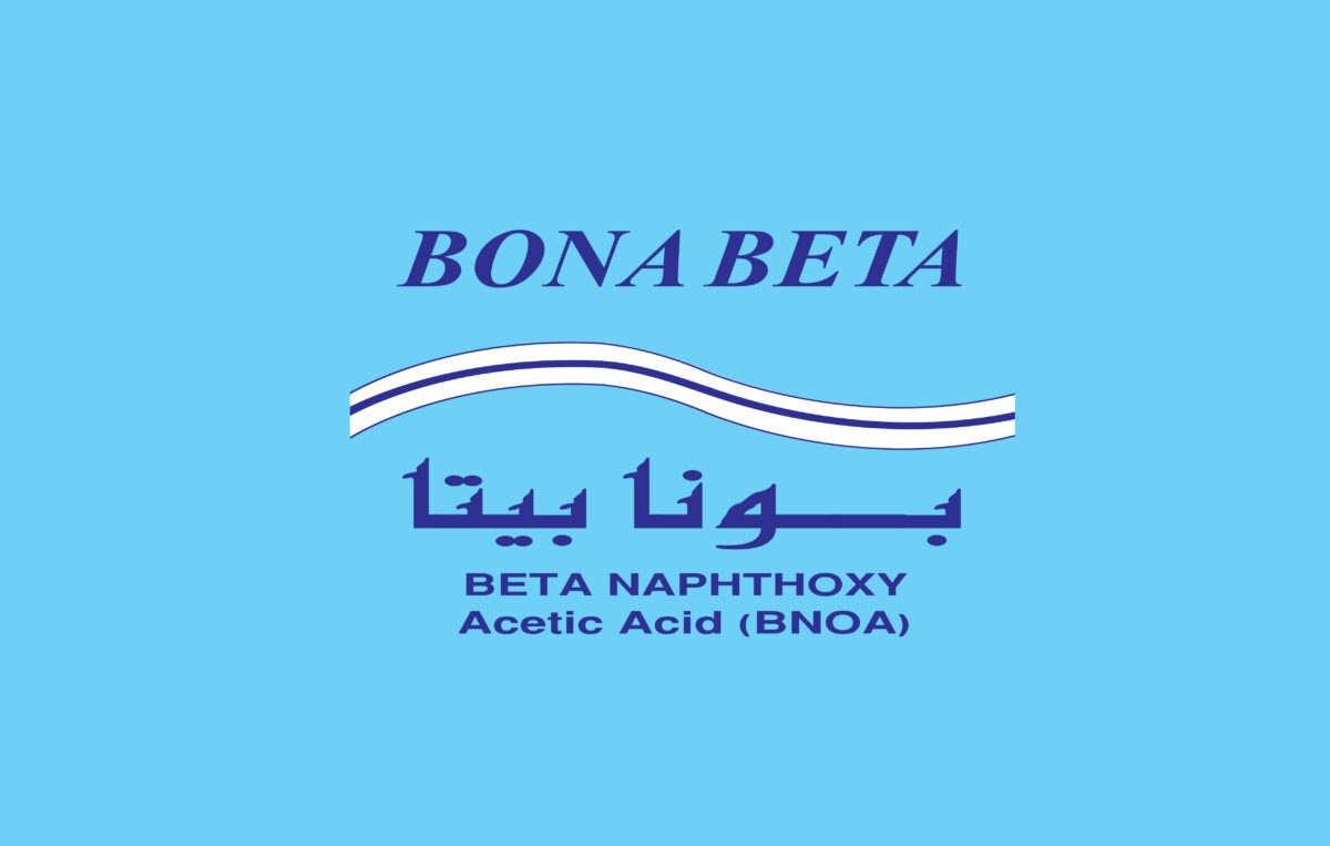 BONA BETA