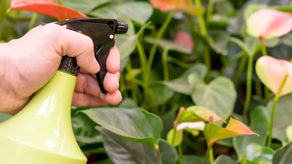 What are the Types of Foliar Fertilizers